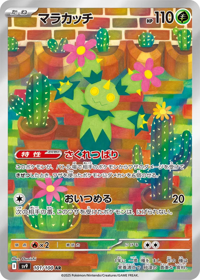Maractus (SV9 101)