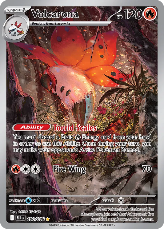Volcarona (BLK 100)