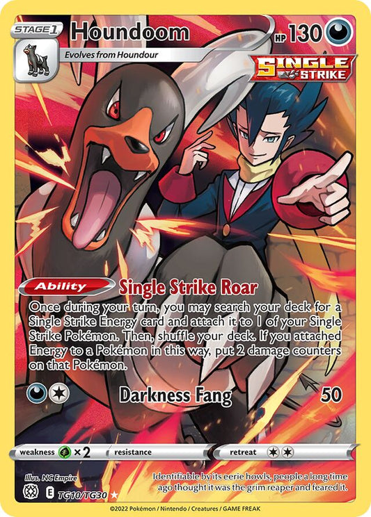 Houndoom (BRS TG10)