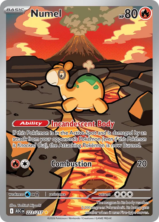 Numel (ASC 223)