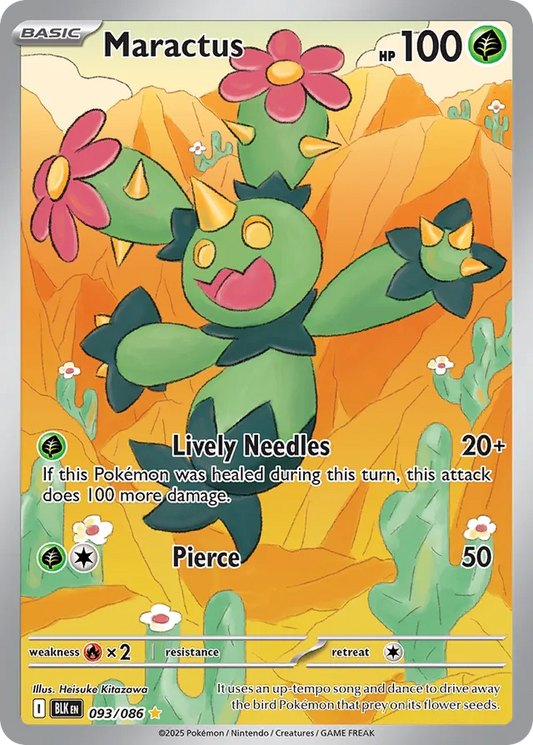 Maractus (BLK 093)