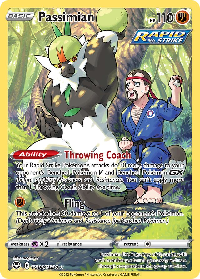 Passimian (SIT TG08)